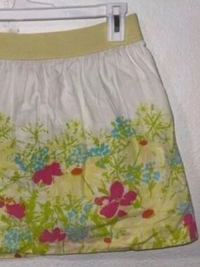 Lily Pulitzer Whitley Skirt in Blue Eyed Girl Border